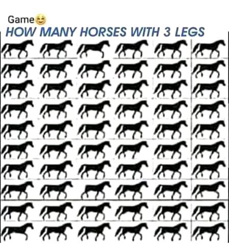 How many horse with three legs??