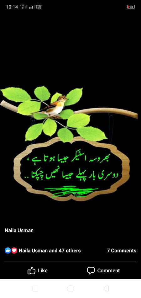 ۔۔۔۔۔۔بروسہ۔۔۔۔۔