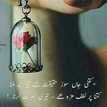 🍁Zoq_Shab🍁
