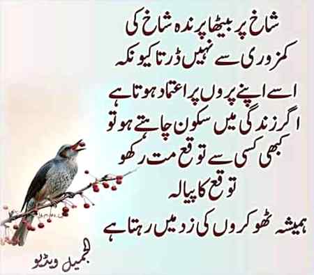Albela bilo. ....