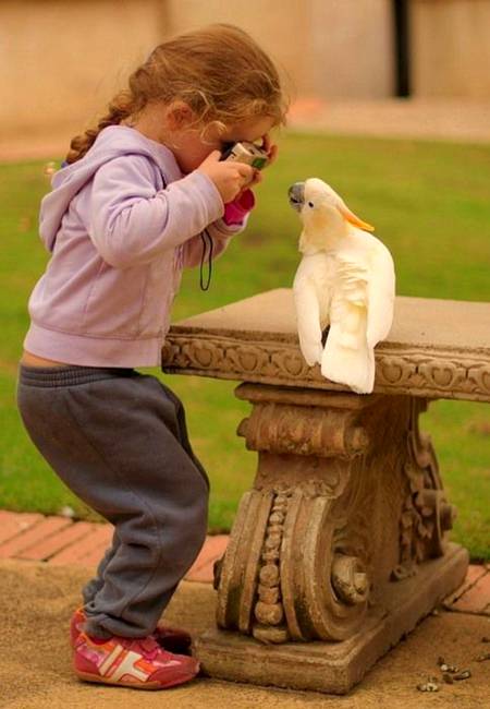So cute ❤💚💜😍🌷🌹🍀🍄🌺