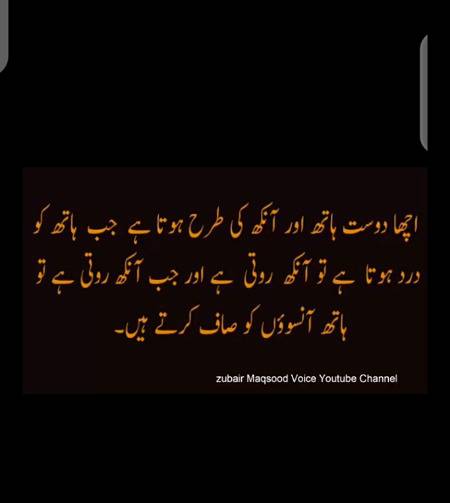 Hmmmm bilkul 😍