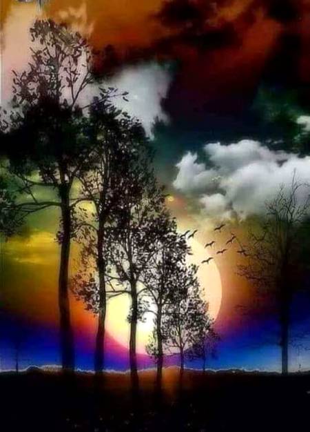 Photography full moon night