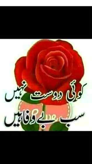 ❤❤❤❤💐💐💐💐