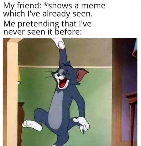 Because I respect memes Lovers