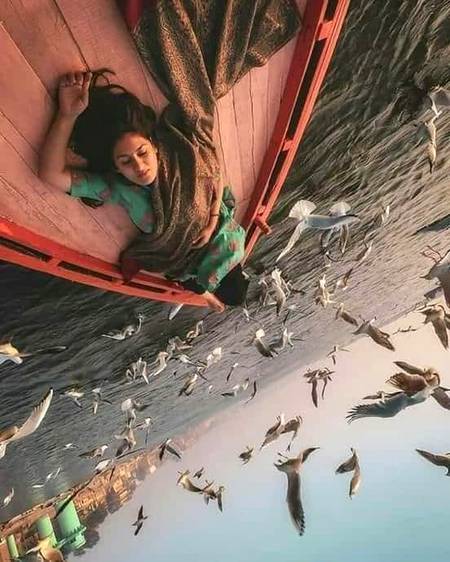 وفا کی خوشنما چڑیو ..
تمہیں بس درد چگنے ہیں
 🥀