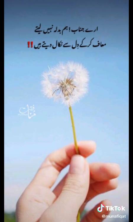 سب کو معاف کیا ان کو بھی جو کچھ بھی نہیں میرے لیے۔