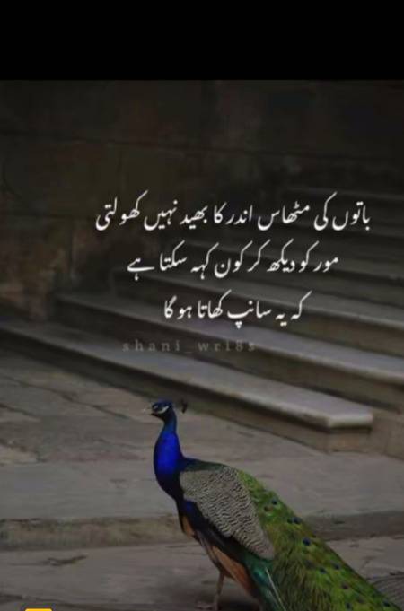 Bilkul 💯💯😞