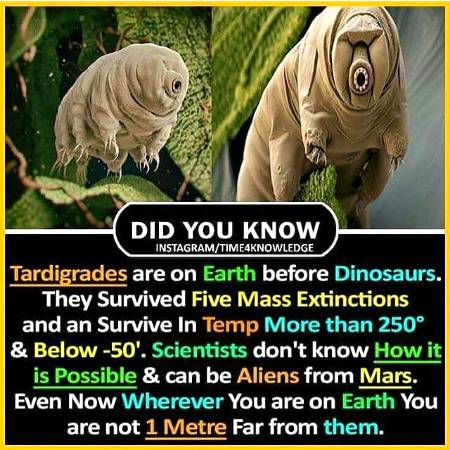 Did you know