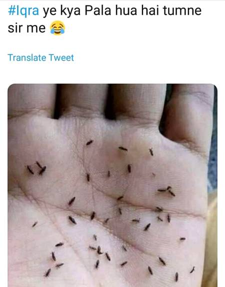 Iqra kha ho jawab do