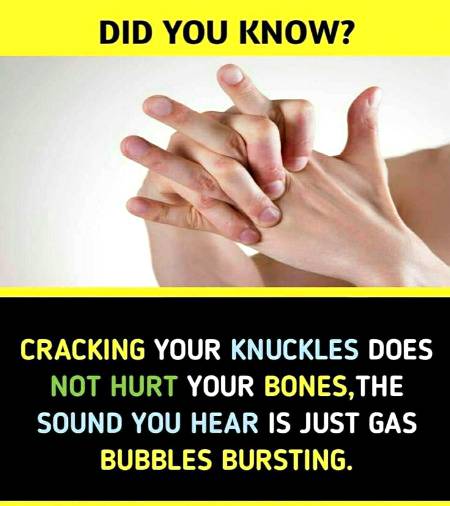 Did you know