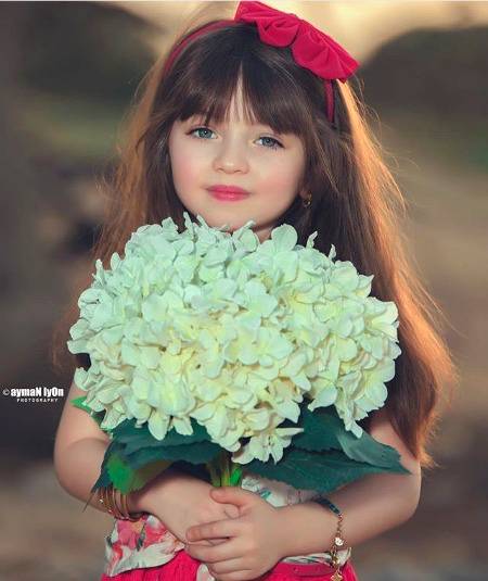 اسلام و علیکم