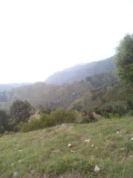 Gaon  hmmm🔥🔥🔥