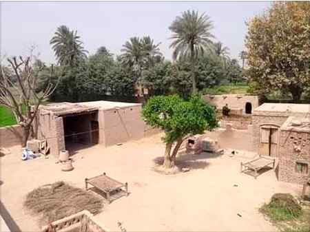 ہمیں محبت کی زباں مارو گے تو مر جائیں گے
ہم گاؤں کے لوگ زیادہ سیانے نہیں ہوتے