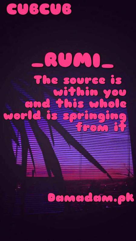 Rumi's words