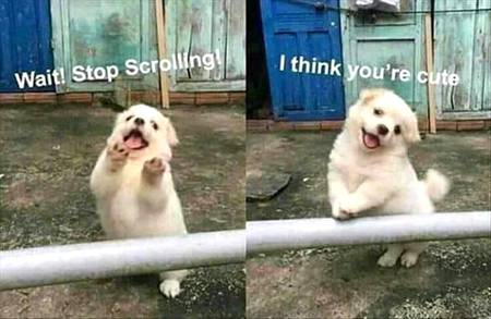 Yeah you?