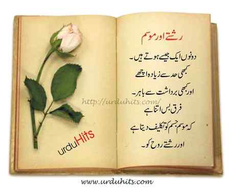 .q1 dear Friends