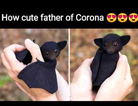 Corona meme, carona meme, coronavirus meme, corona joke