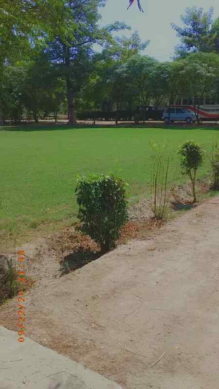 Corona social media post, carona social media post, coronavirus post