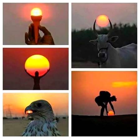 Photography🔥🔥❤