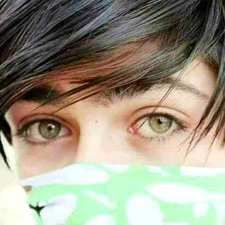 : محبت کیا ھے اہل علم جانیں 
 ہمیں عادت تمہاری ہو گئی ھے

Sadaf💔💔