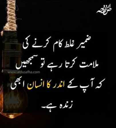 Insan Bnoo