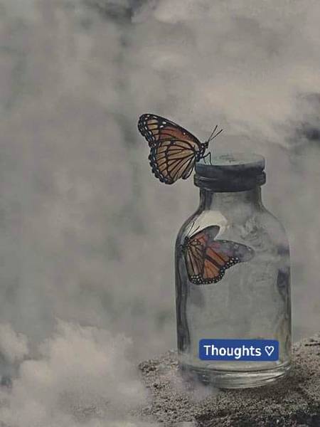 "احساس" انسانیت کا سب سے بڑا رشـتہ ہے ایک دوسرے سے کوئی خونی ناطہ نہ بھی ہونے کے باوجود یہ دلوں کو مضبوط بـندہن میں باندھ دیتا ہے.