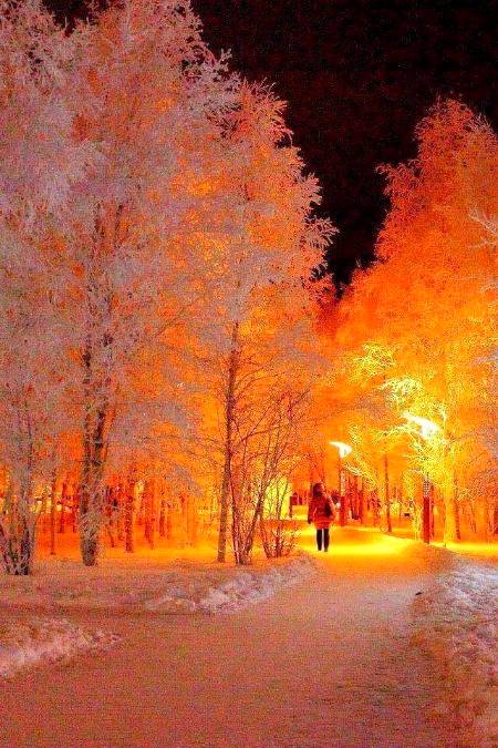 Winter in Sweden 🔥🔥