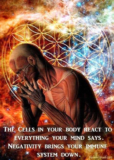 Negativity brings your immune system down.