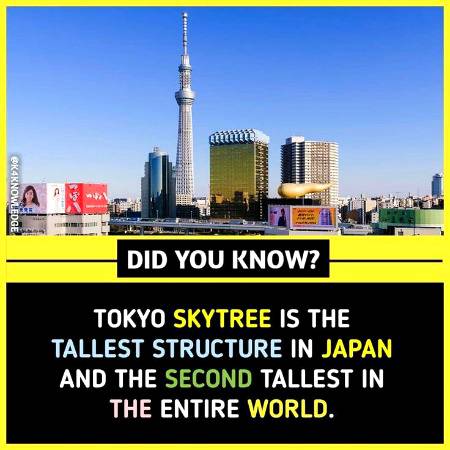 DID YOU KNOW??