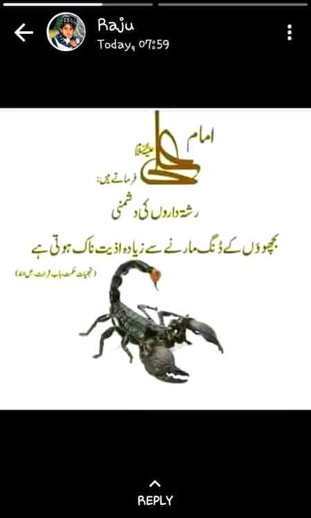 Bilkul right hy na