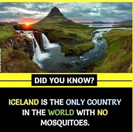 DID YOU KNOW??
