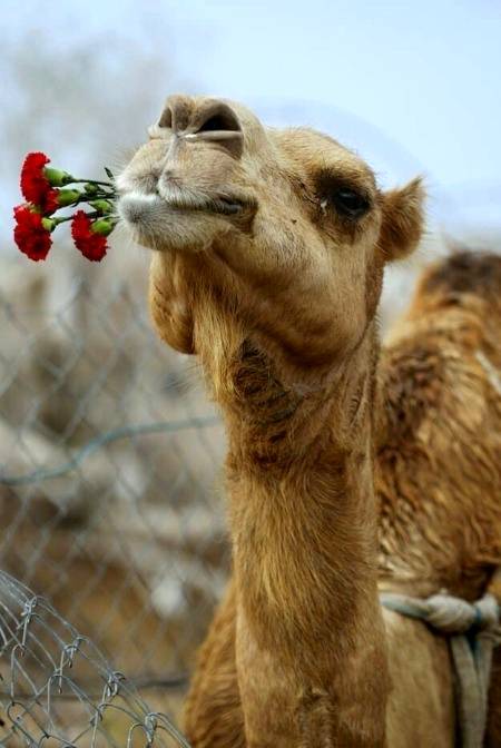 Awesome photography 💕💕