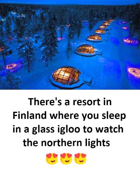 Amazing fact🔥🔥