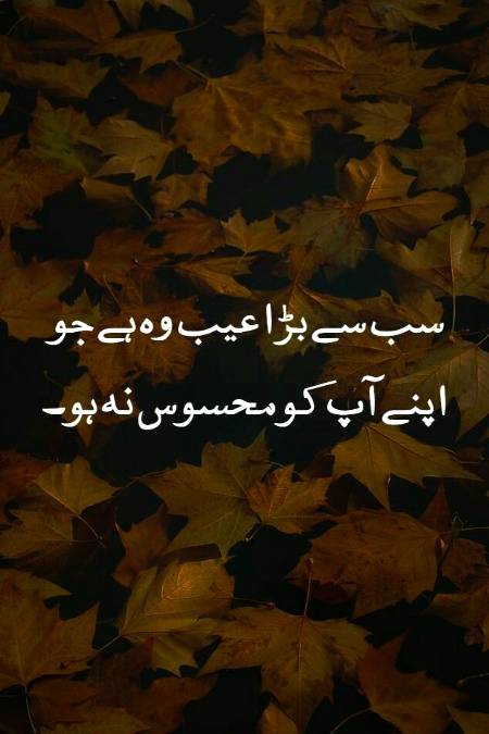 برائی کو خود میں اور اچھائی کو دوسروں میں تلاش کریں