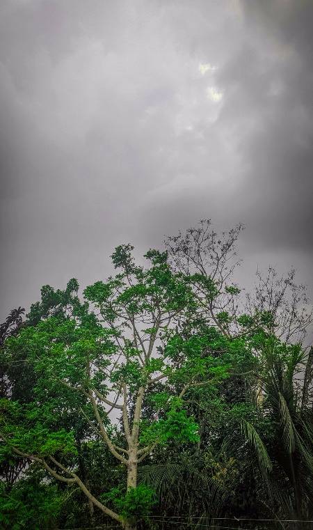 Weather💞💞❣❣💞💞