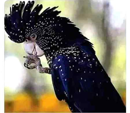 Indeed Allah is the best creator🔥❤❤❤