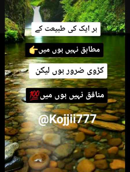 Hr kisi ki tbyt k mutbk ni hon m