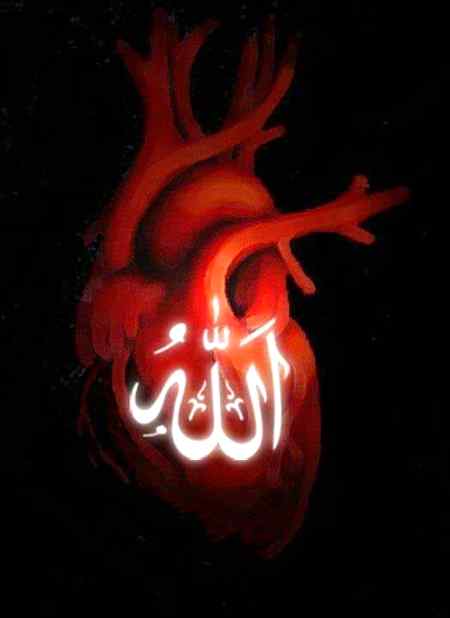 جتنے دن زندہ رہو اسے غنیمت سمجھو اور  💕اس سے پہلے کے لوگ تمہیں مردہ کہیں نیکی کر جاؤ۔ ❣️❣️❣️