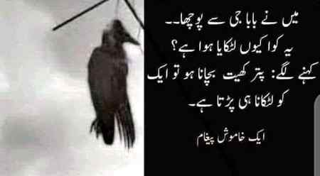 Khamoosh peghaam 🤗😍