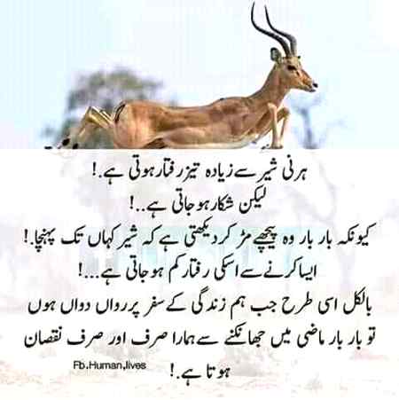 Hmmmm right....✌