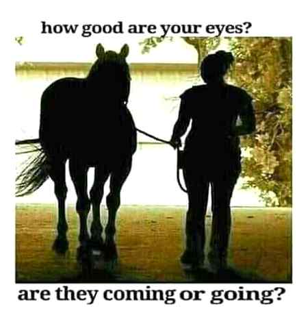 Test your eyes...