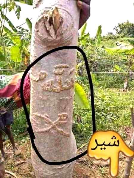 Sending by fareed ahmed shaikh