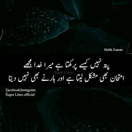 🌹🌹🌹 Right 🌹🌹🌹
