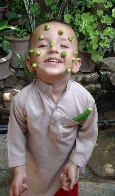 hlo friends