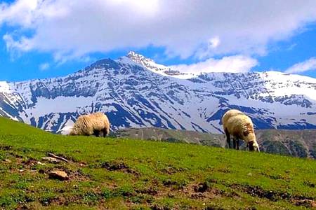 Beautiful mashallah beautiful 😍😍😍😍🤗🤗❤❤❤