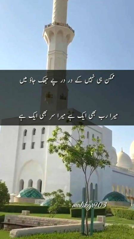 ممکن ہی نہیں کہ در در پہ جھک جاؤں✨🔥
میرا رب بھی ایک ہے اور میرا سر بھی ایک ہے✨🔥