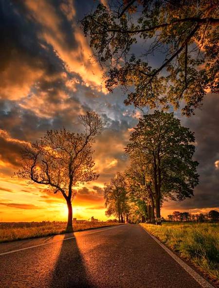 Evening photography..