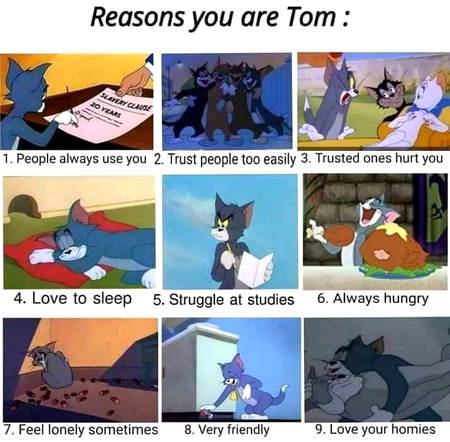 Anything that Resembles with yours?