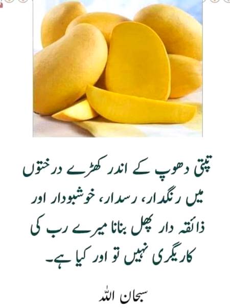 Bashk subhan AllAh